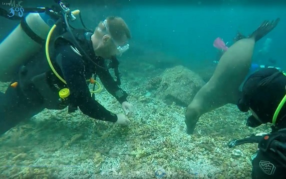 destination plongée la paz