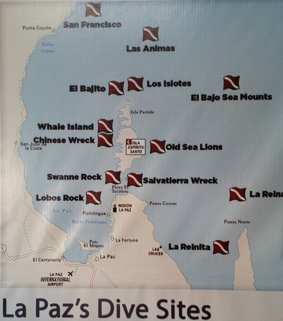 sites de plongée a LA PAZ