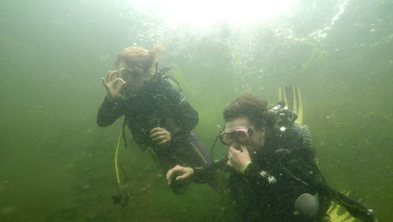 plongée sous marine niveau 1